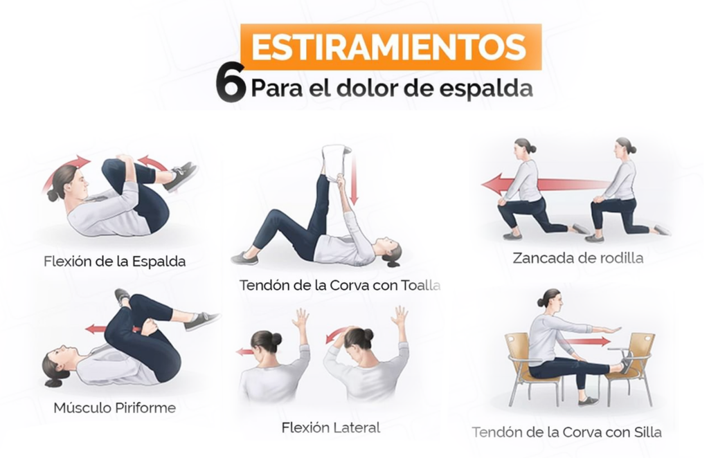 Ejercicios Simples para Mejorar la Postura y Sentirte Más Cómoda Cada Día